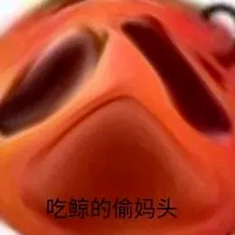 图片[13]-偷妈头&破忒头表情包-喜欢表情包分享—全网表情包