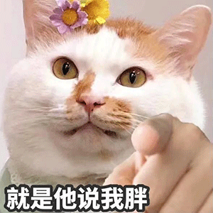图片[6]-你在教我做事？-喜欢表情包分享—全网表情包