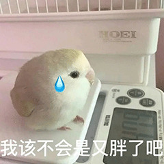 图片[30]-干什么，你不要过来!-喜欢表情包分享—全网表情包