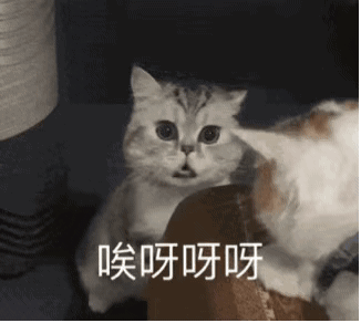 图片[51]-可爱到爆的表情包-喜欢表情包分享—全网表情包