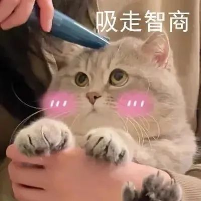 图片[18]-表情包-喜欢表情包分享—全网表情包