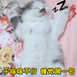图片[37]-可爱到爆的表情包-喜欢表情包分享—全网表情包