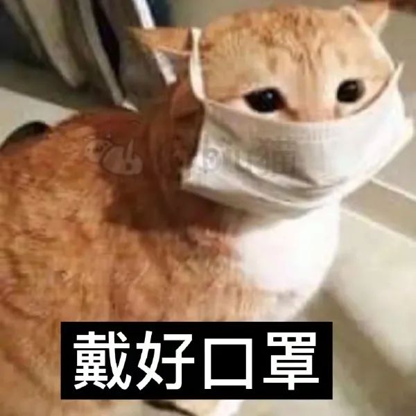 图片[2]-戴好口罩 人人有责-喜欢表情包分享—全网表情包