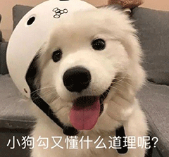 图片[2]-我猜你在拉屎-喜欢表情包分享—全网表情包