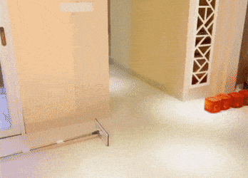 图片[1]-【GIF】啊…这…-喜欢表情包分享—全网表情包