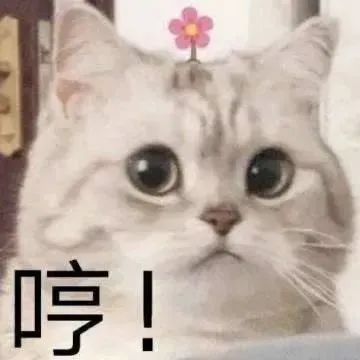 图片[10]-相当优秀-喜欢表情包分享—全网表情包