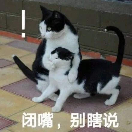 图片[27]-今晚来我房吗-喜欢表情包分享—全网表情包
