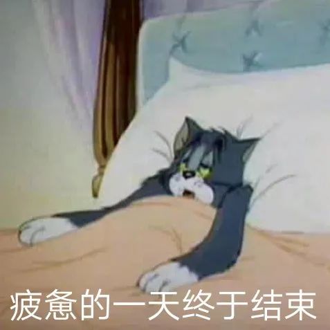 图片[21]-表情包-喜欢表情包分享—全网表情包