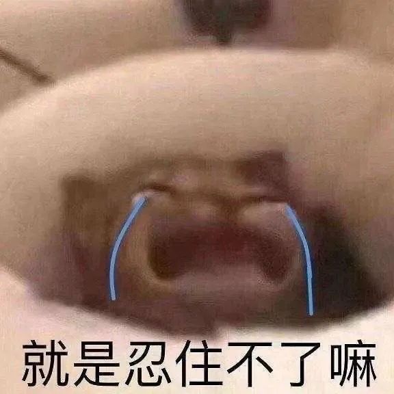 图片[9]-可爱的猫猫狗勾表情增加了-喜欢表情包分享—全网表情包