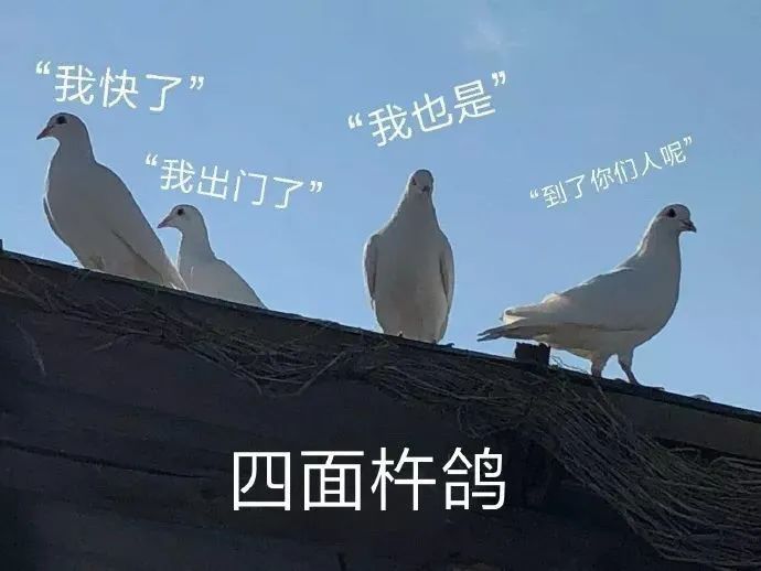 图片[6]-奇怪的表情增加了-喜欢表情包分享—全网表情包