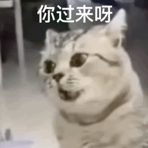 图片[10]-50个聊天阴阳怪气的表情包-喜欢表情包分享—全网表情包