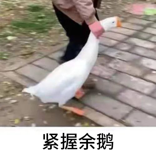 图片[7]-有没有女孩子一起过圣诞节-喜欢表情包分享—全网表情包