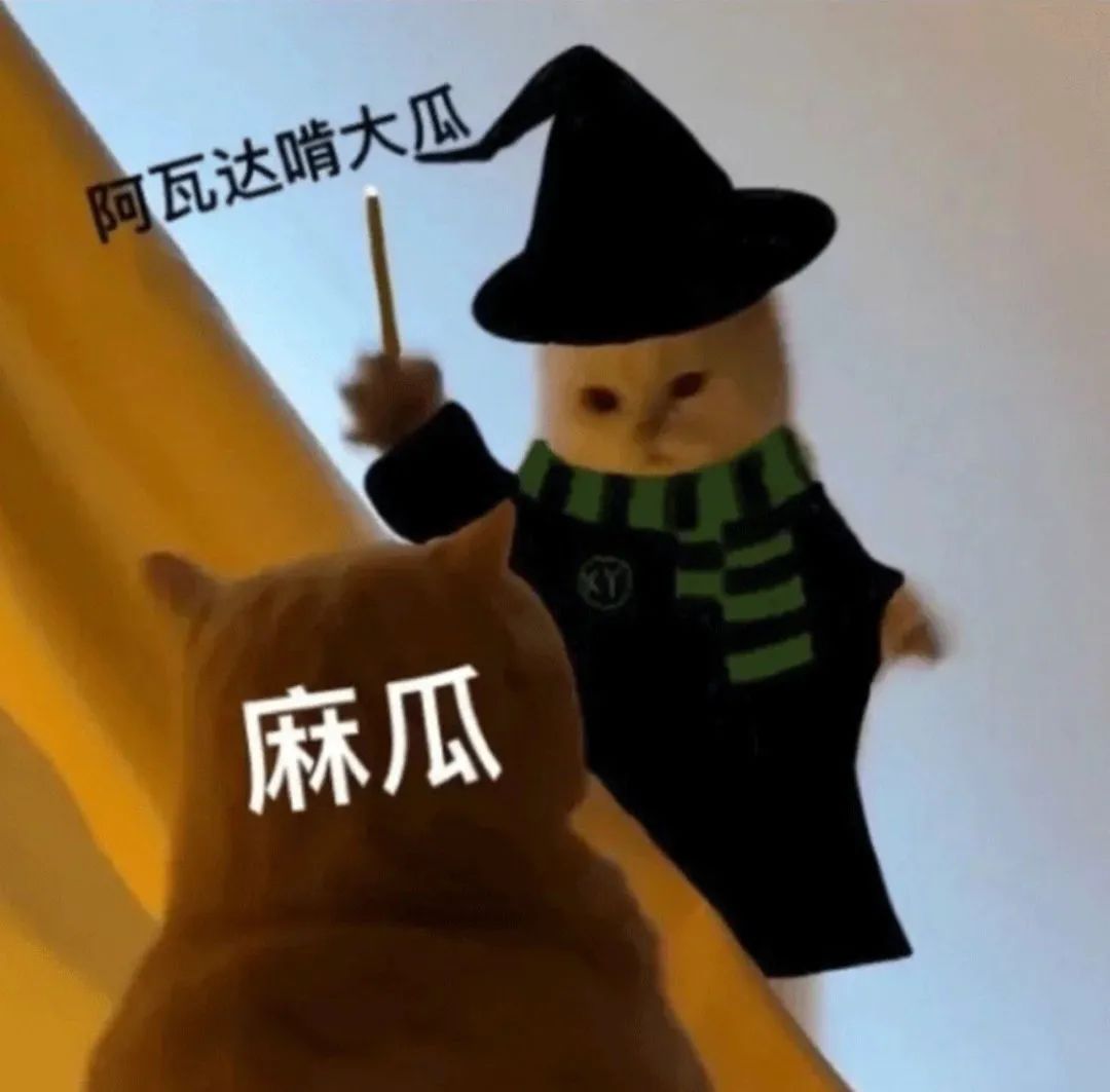 图片[13]-我可以青柠吗-喜欢表情包分享—全网表情包