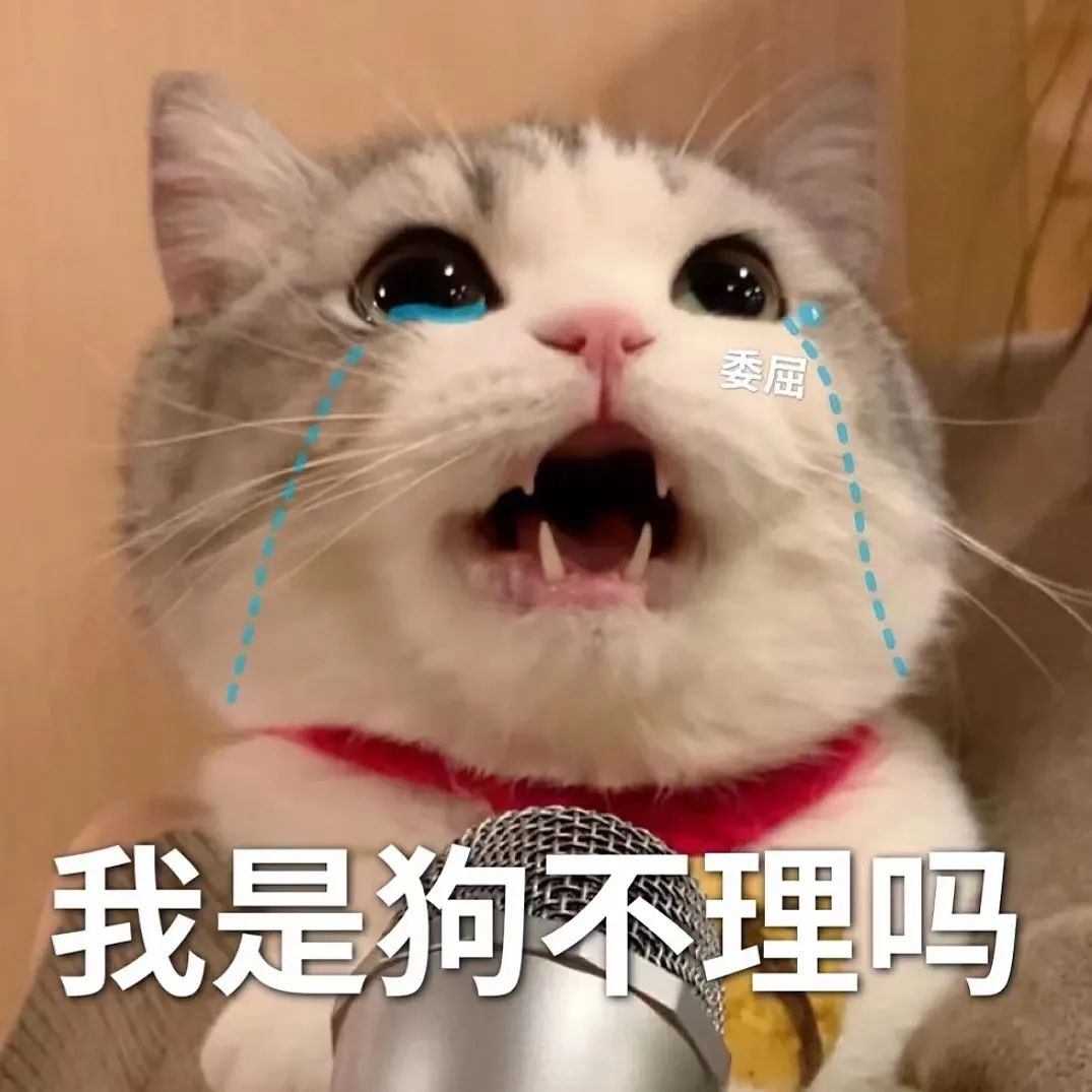 图片[57]-60个精选聊天可爱表情包-喜欢表情包分享—全网表情包