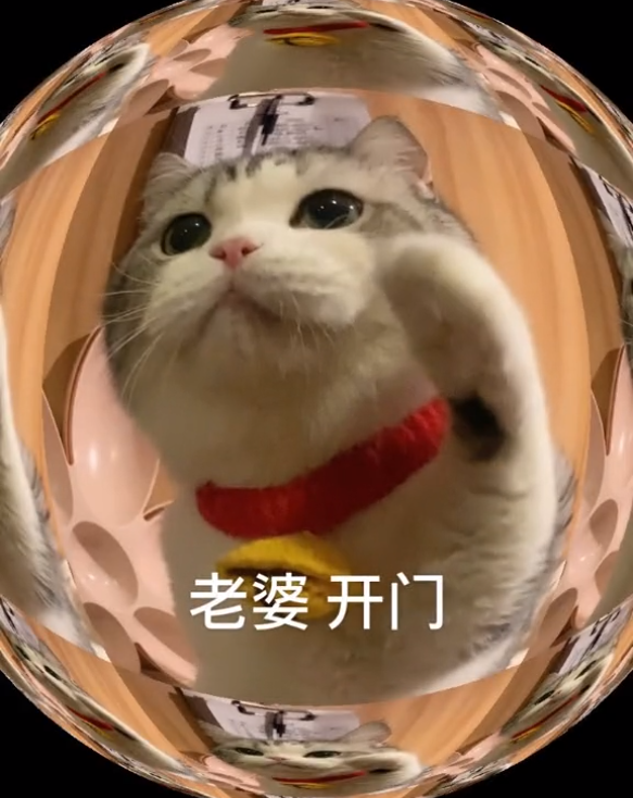 图片[37]-45个聊天撒娇必用大嘴猫表情-喜欢表情包分享—全网表情包