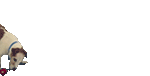图片[2]-最近超火养鸡表情包-喜欢表情包分享—全网表情包