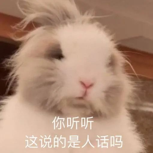 图片[4]-我就是缠你的身子-喜欢表情包分享—全网表情包