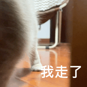 图片[21]-一整个被尬住-喜欢表情包分享—全网表情包
