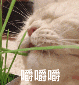 图片[5]-表情包-喜欢表情包分享—全网表情包