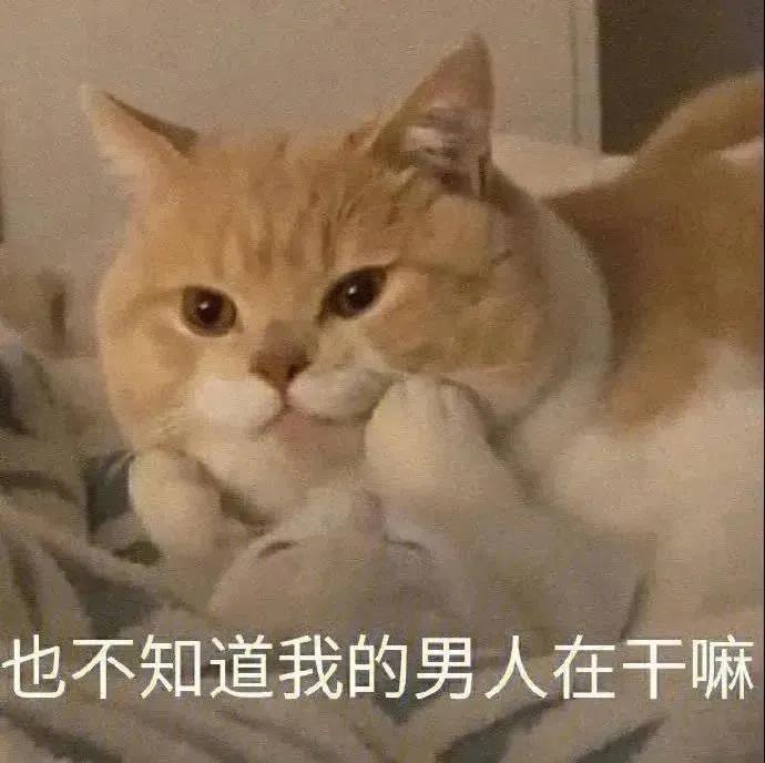 图片[16]-只想做你一个人的舔狗-喜欢表情包分享—全网表情包