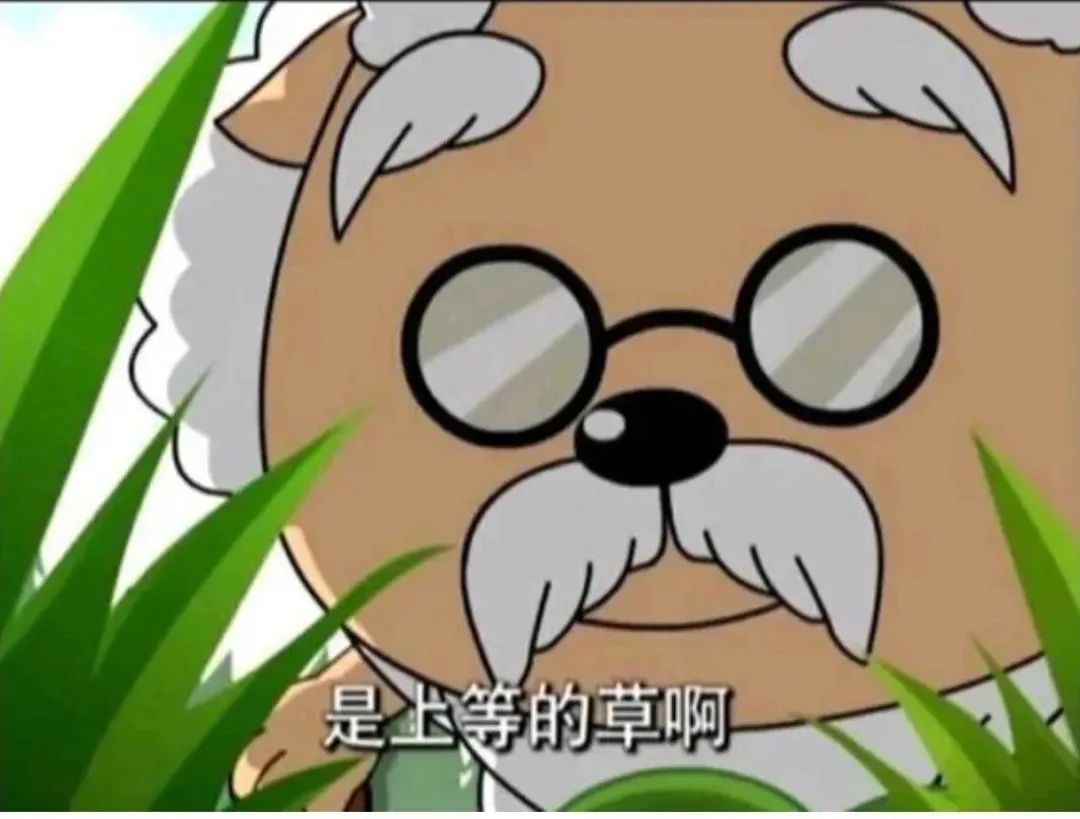 图片[7]-你好会哦-喜欢表情包分享—全网表情包