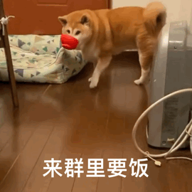 图片[17]-come on，宝贝-喜欢表情包分享—全网表情包