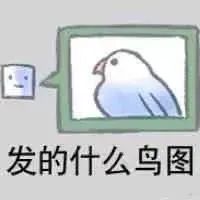 图片[12]-奇怪的表情增加了-喜欢表情包分享—全网表情包