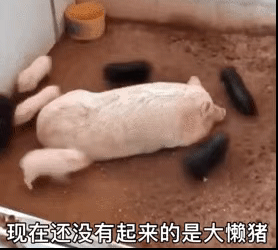图片[9]-屁放完啦？-喜欢表情包分享—全网表情包
