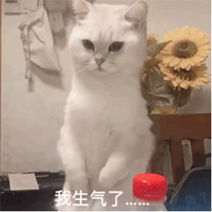 图片[4]-come on，宝贝-喜欢表情包分享—全网表情包