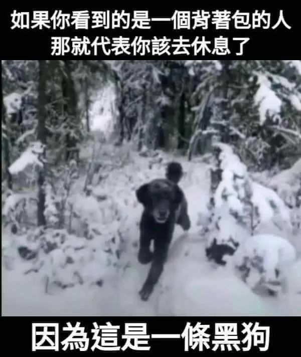 图片[3]-你是不是想亲我-喜欢表情包分享—全网表情包