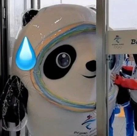 图片[27]-冰墩墩表情包 | 我是他的表弟铁憨憨-喜欢表情包分享—全网表情包