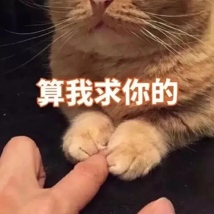 图片[12]-我这就滚-喜欢表情包分享—全网表情包