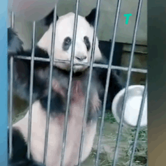 图片[1]-群里开饭啦-喜欢表情包分享—全网表情包