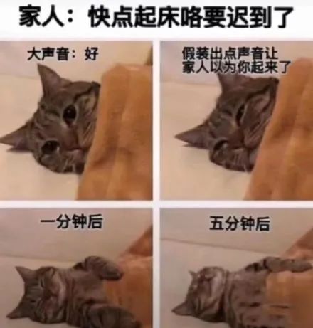 图片[6]-骚表情包-喜欢表情包分享—全网表情包