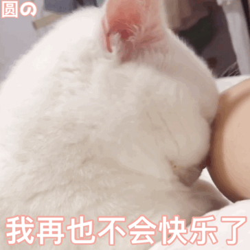 图片[19]-你们要的冰墩墩超火表情包-喜欢表情包分享—全网表情包