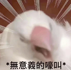 图片[17]-你要点脸-喜欢表情包分享—全网表情包