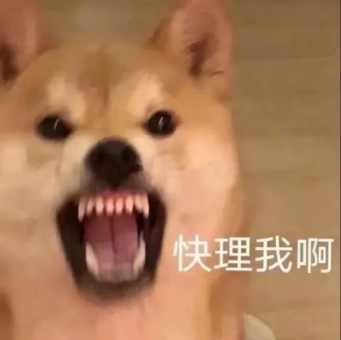 da6438da0000b9c68615ef36c035196e