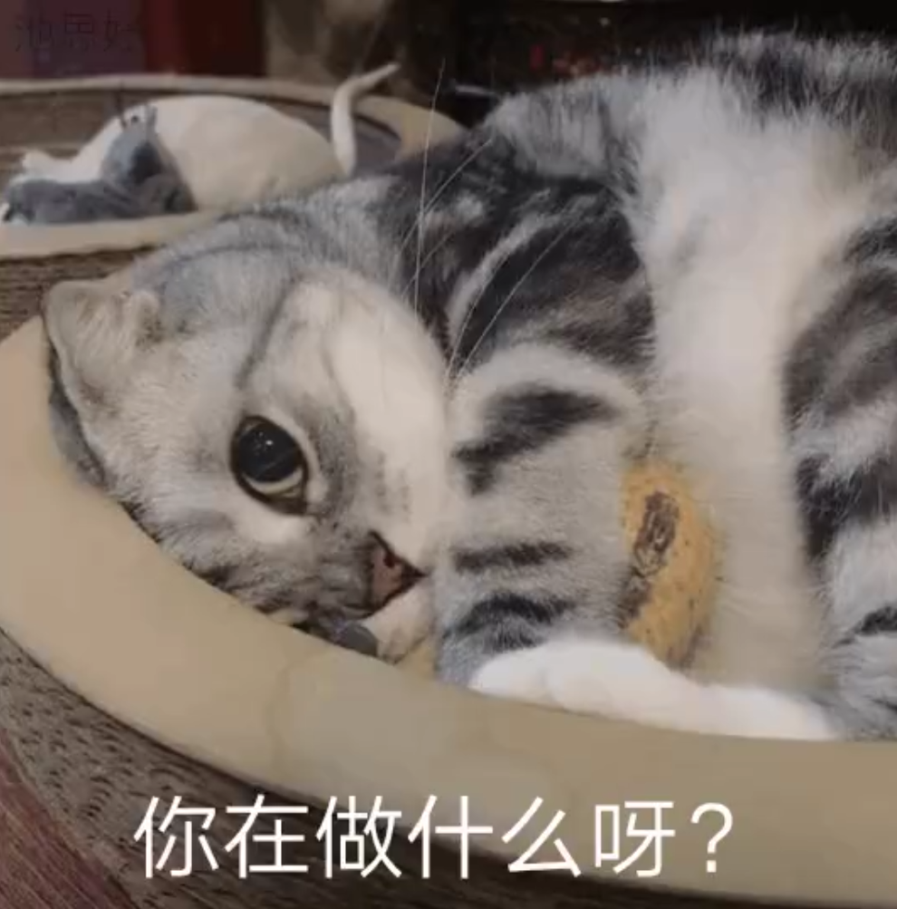 图片[17]-我就是缠你的身子-喜欢表情包分享—全网表情包