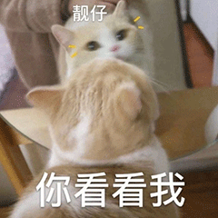 图片[2]-你要点脸-喜欢表情包分享—全网表情包