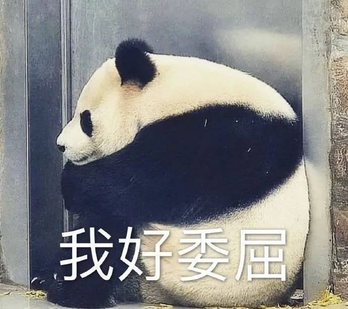 图片[6]-表情包-喜欢表情包分享—全网表情包