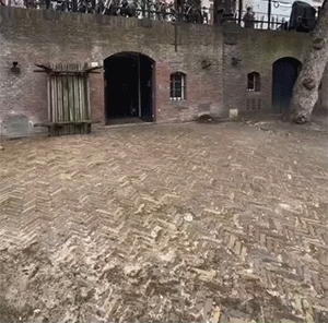 图片[1]-【GIF】有点帅了-喜欢表情包分享—全网表情包
