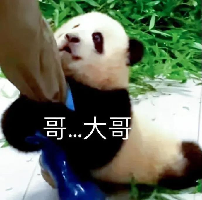 图片[3]-表情包-喜欢表情包分享—全网表情包