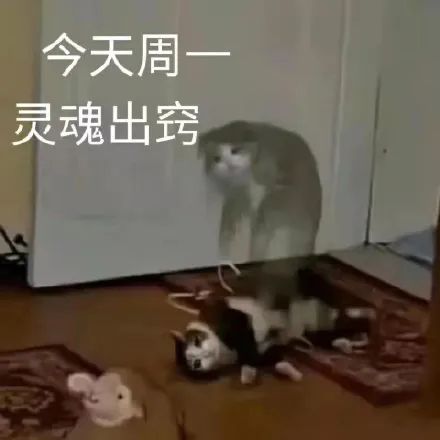 图片[18]-中午好 发表情啦-喜欢表情包分享—全网表情包