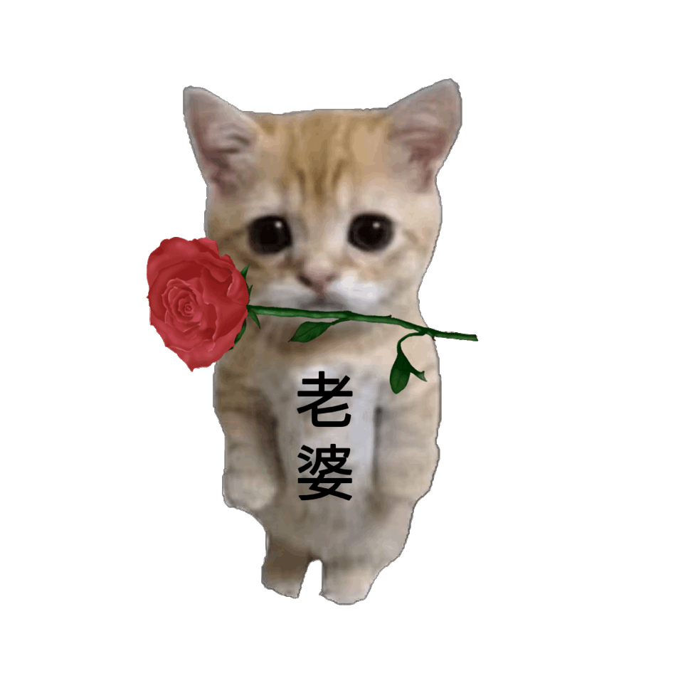 图片[4]-老实又芭蕉-喜欢表情包分享—全网表情包