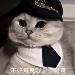 图片[38]-可爱到爆的表情包-喜欢表情包分享—全网表情包