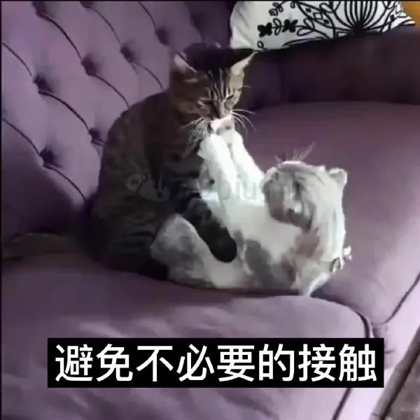 图片[4]-戴好口罩 人人有责-喜欢表情包分享—全网表情包