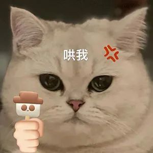 图片[9]-快哄我-喜欢表情包分享—全网表情包