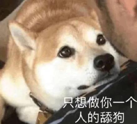 图片[7]-只想做你一个人的舔狗-喜欢表情包分享—全网表情包