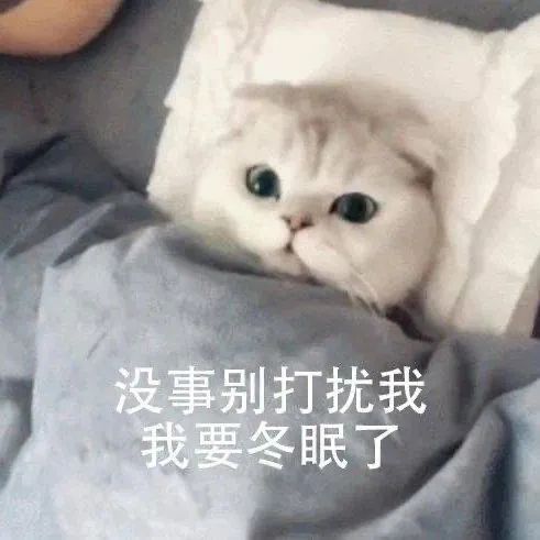 图片[14]-没事别打扰我，冬眠ing-喜欢表情包分享—全网表情包