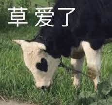 图片[5]-沙雕表情包-喜欢表情包分享—全网表情包